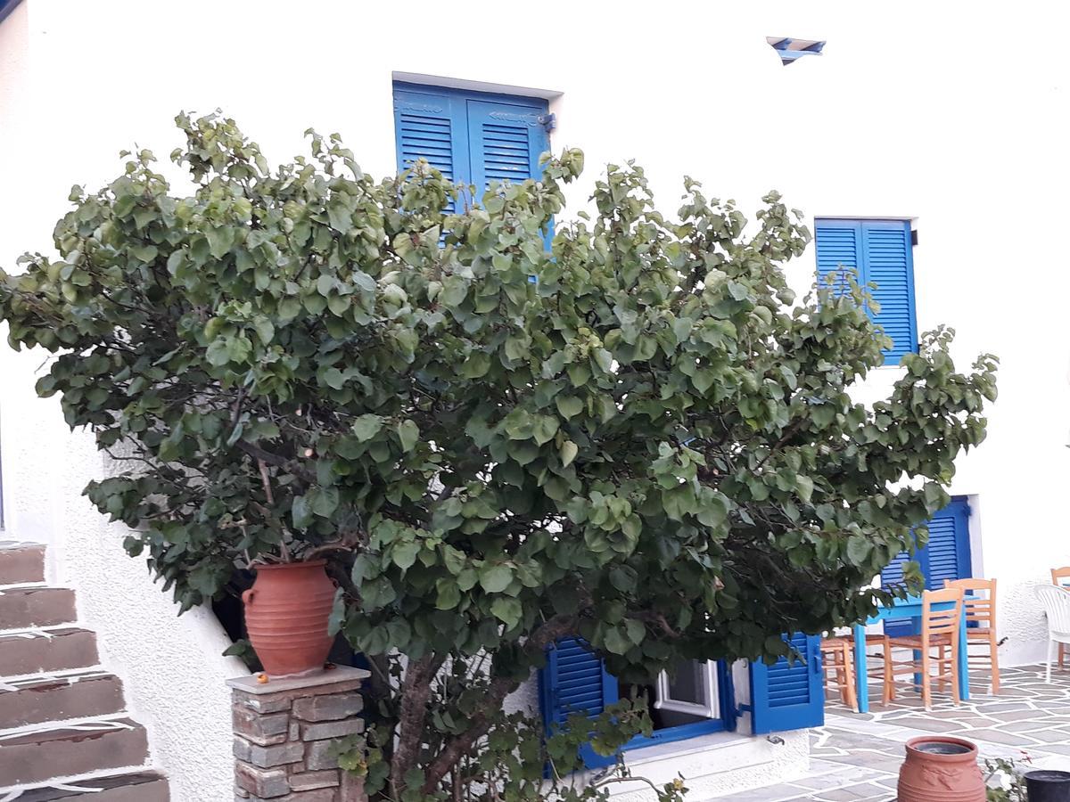 Holidays In Paros Alikí المظهر الخارجي الصورة