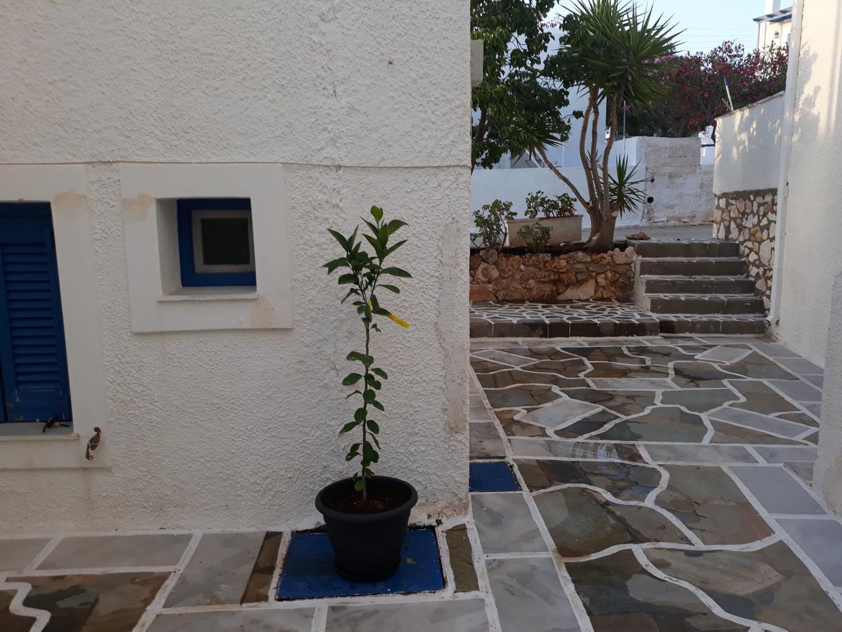 Holidays In Paros Alikí المظهر الخارجي الصورة